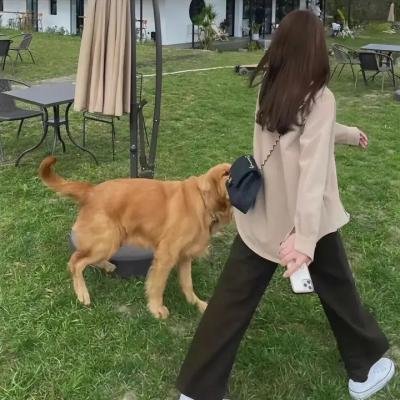 亚当·克莱顿·鲍威尔