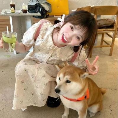 重生2020